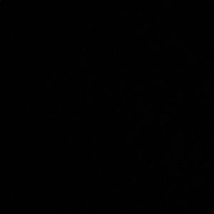 Meet your Posher, Keeley